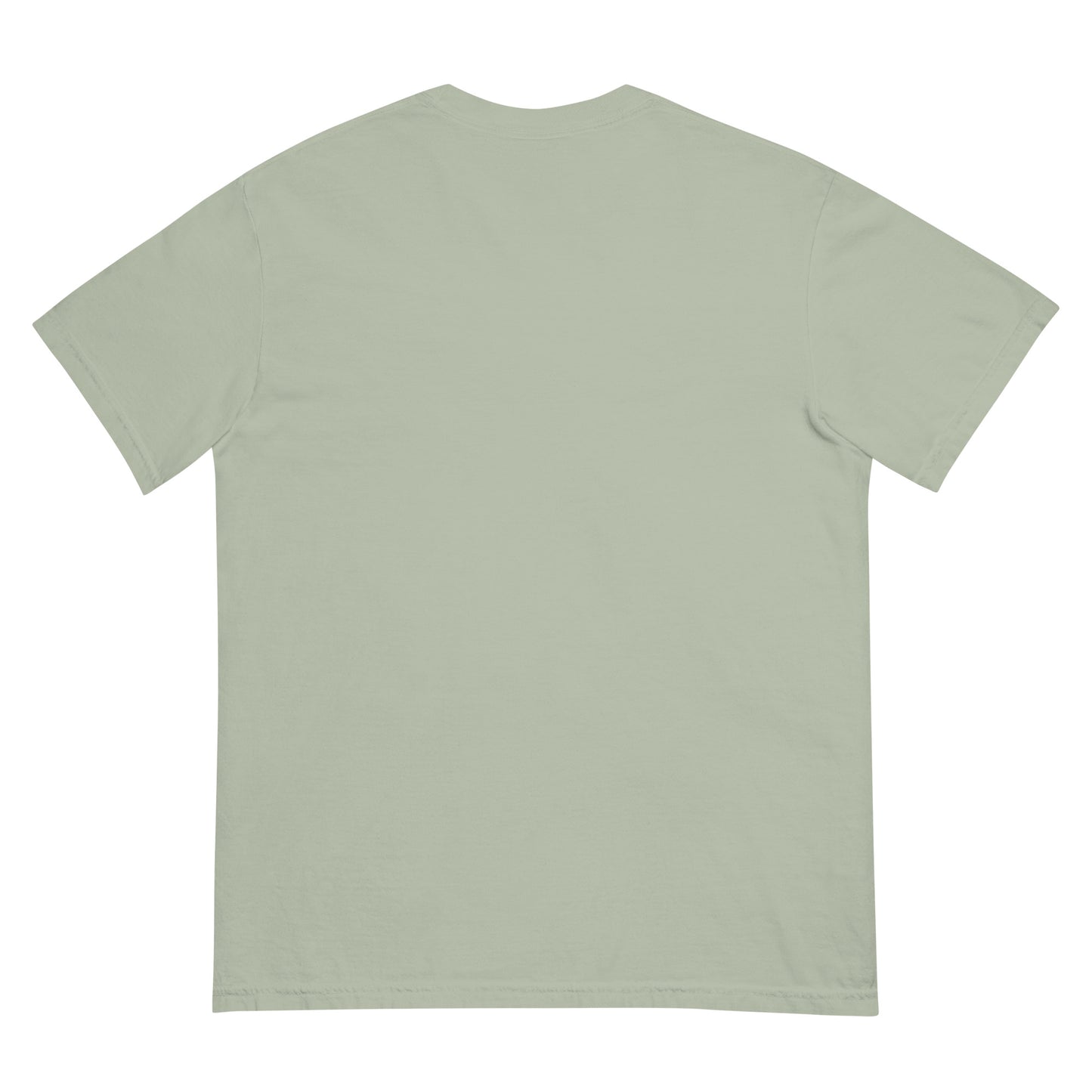 CDRIP unisex garment-dyed heavyweight t-shirt