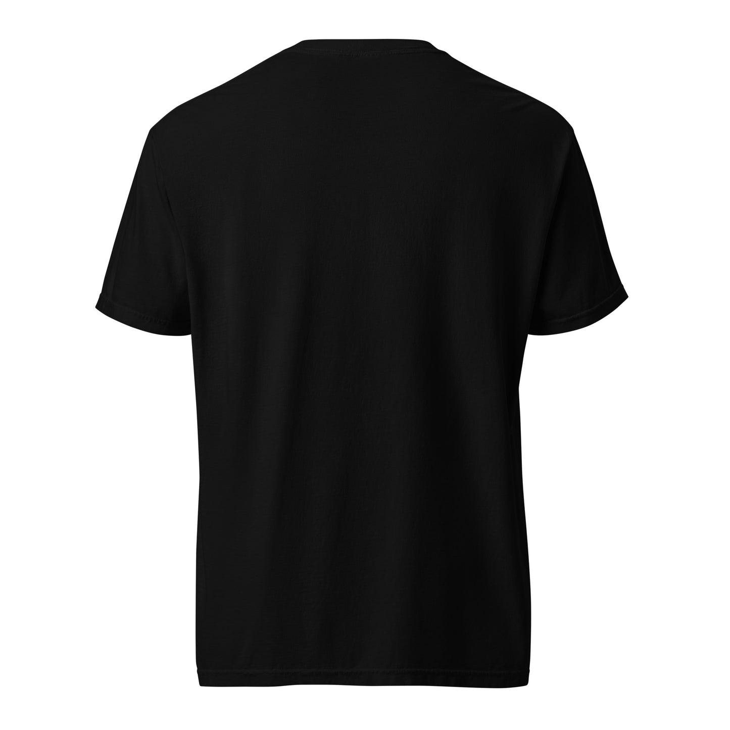 CDRIP Unisex garment-dyed heavyweight t-shirt
