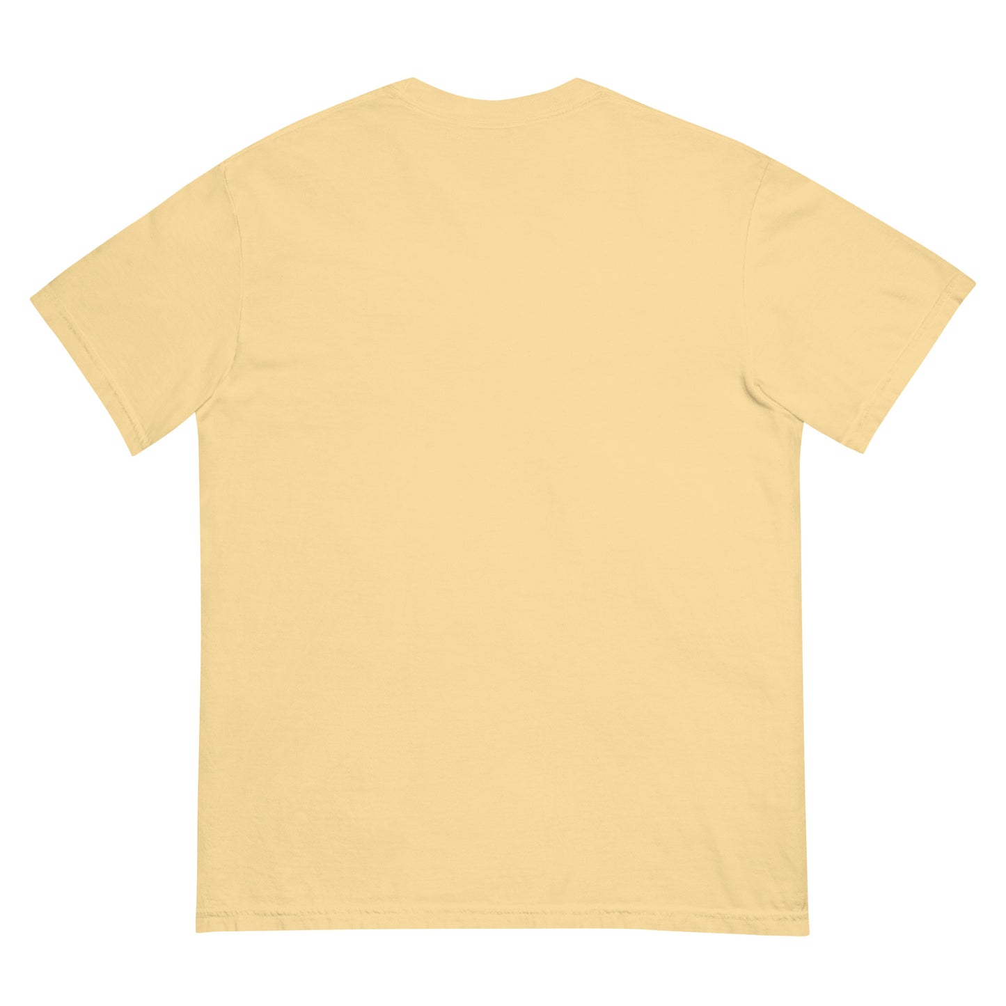 CDRIP unisex garment-dyed heavyweight t-shirt