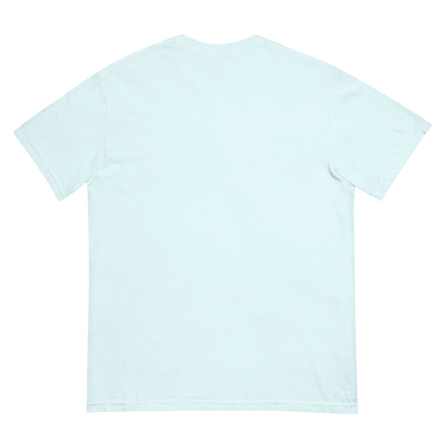 CDRIP unisex garment-dyed heavyweight t-shirt