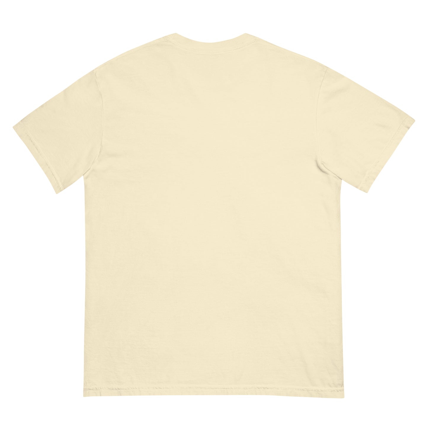 CDRIP unisex garment-dyed heavyweight t-shirt
