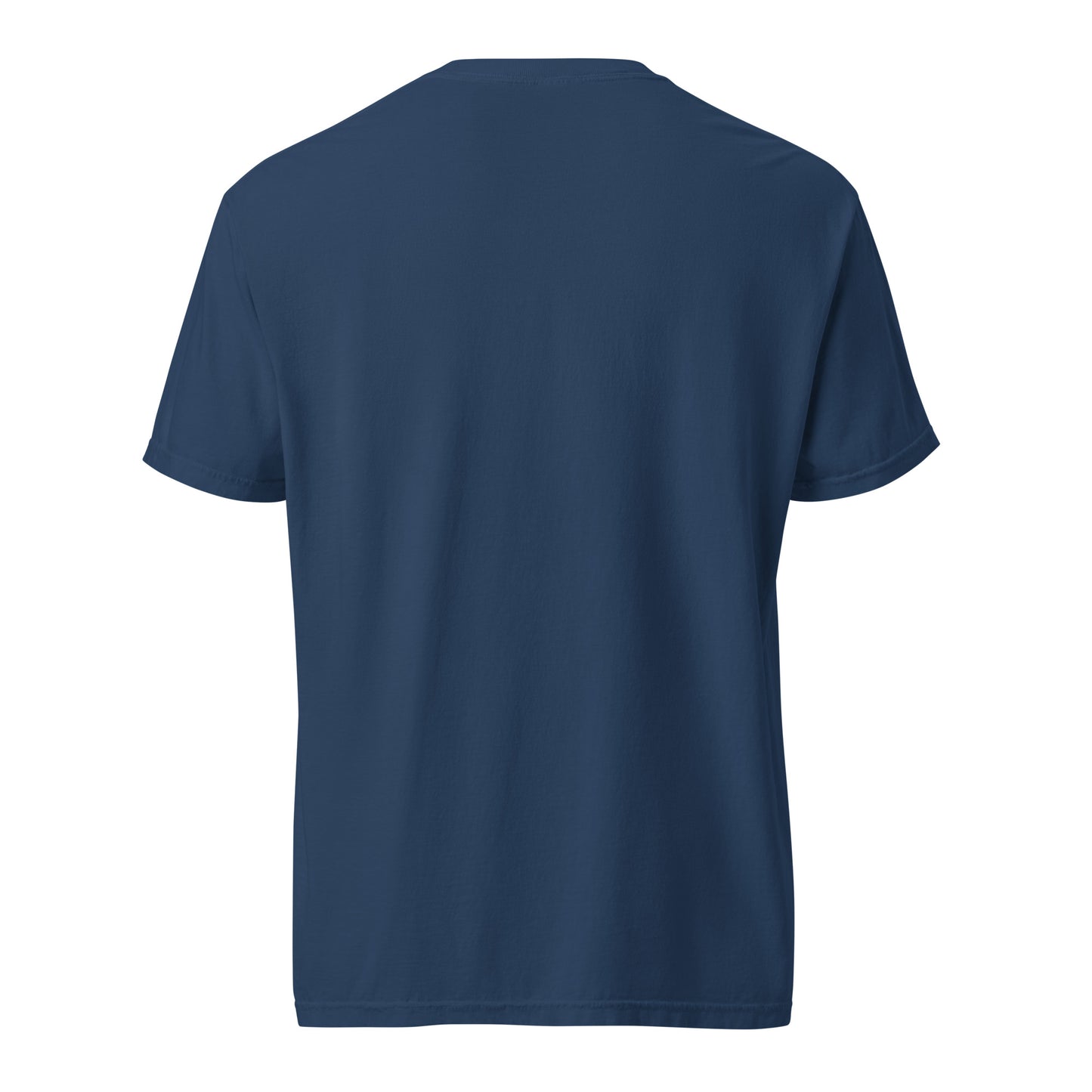 CDRIP Unisex garment-dyed heavyweight t-shirt