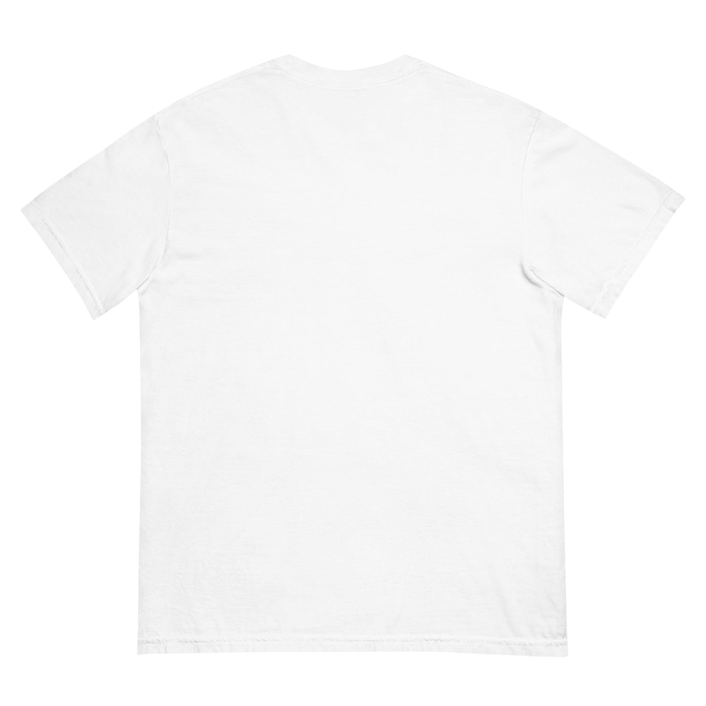 CDRIP unisex garment-dyed heavyweight t-shirt
