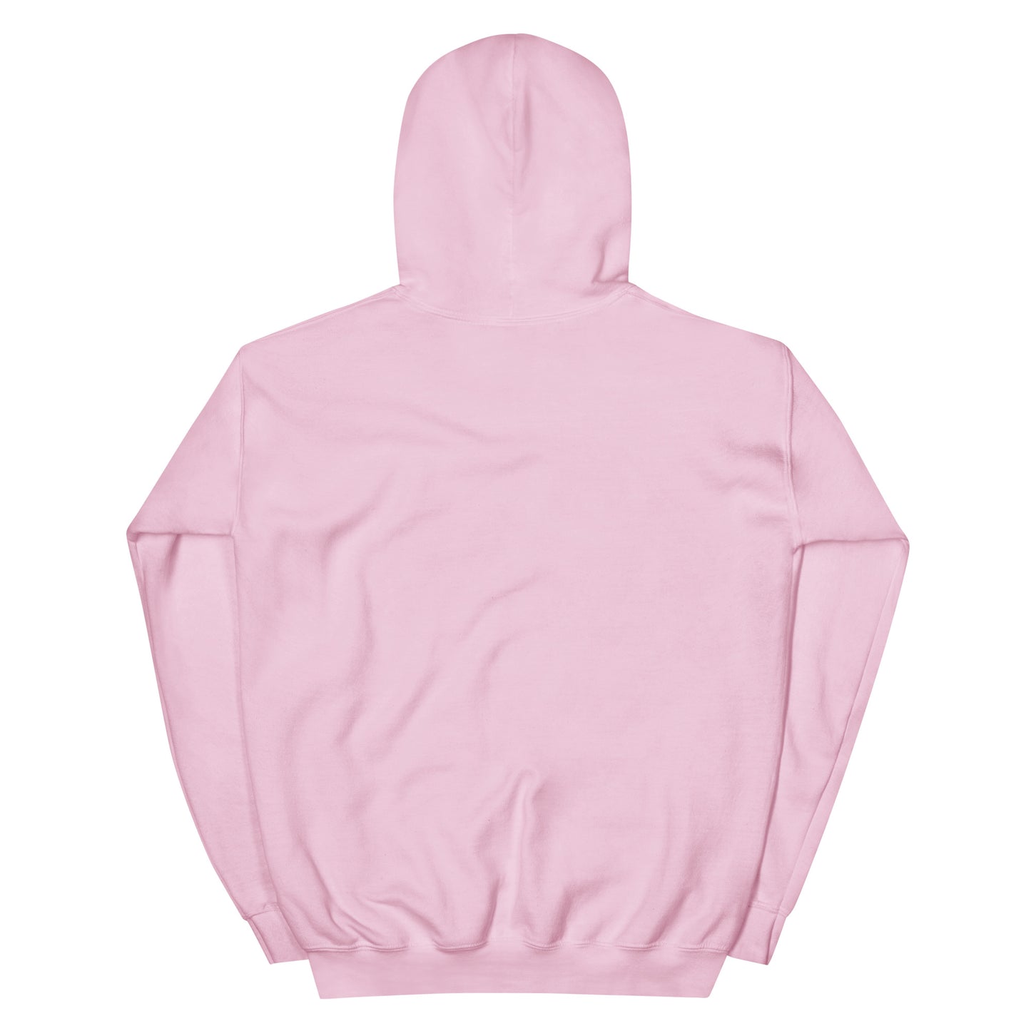 The Devil under my feet Unisex Hoodie