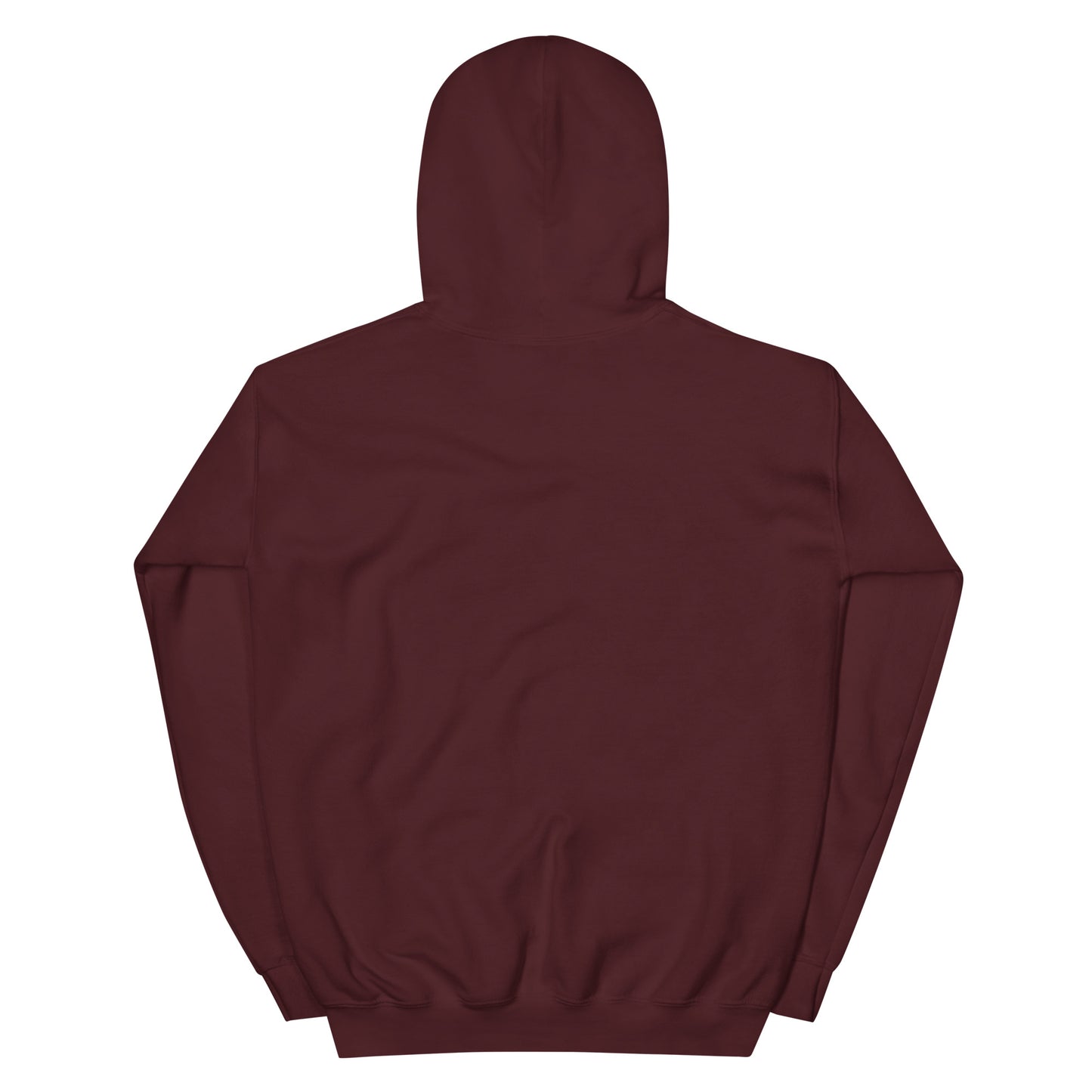 The Devil under my feet Unisex Hoodie