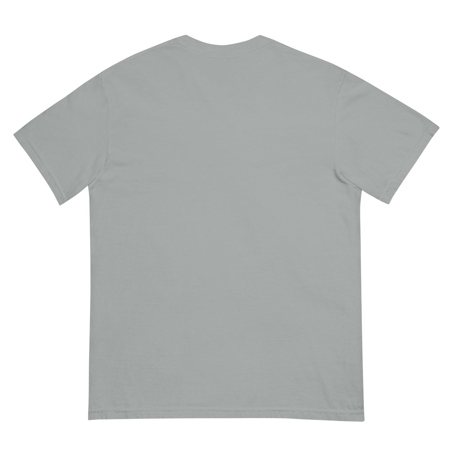 CDRIP unisex garment-dyed heavyweight t-shirt