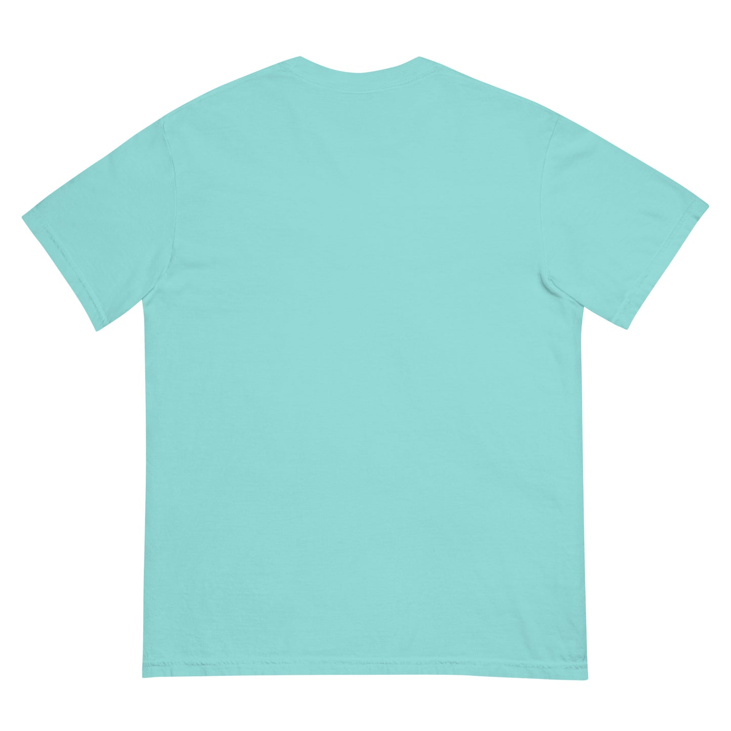 CDRIP unisex garment-dyed heavyweight t-shirt