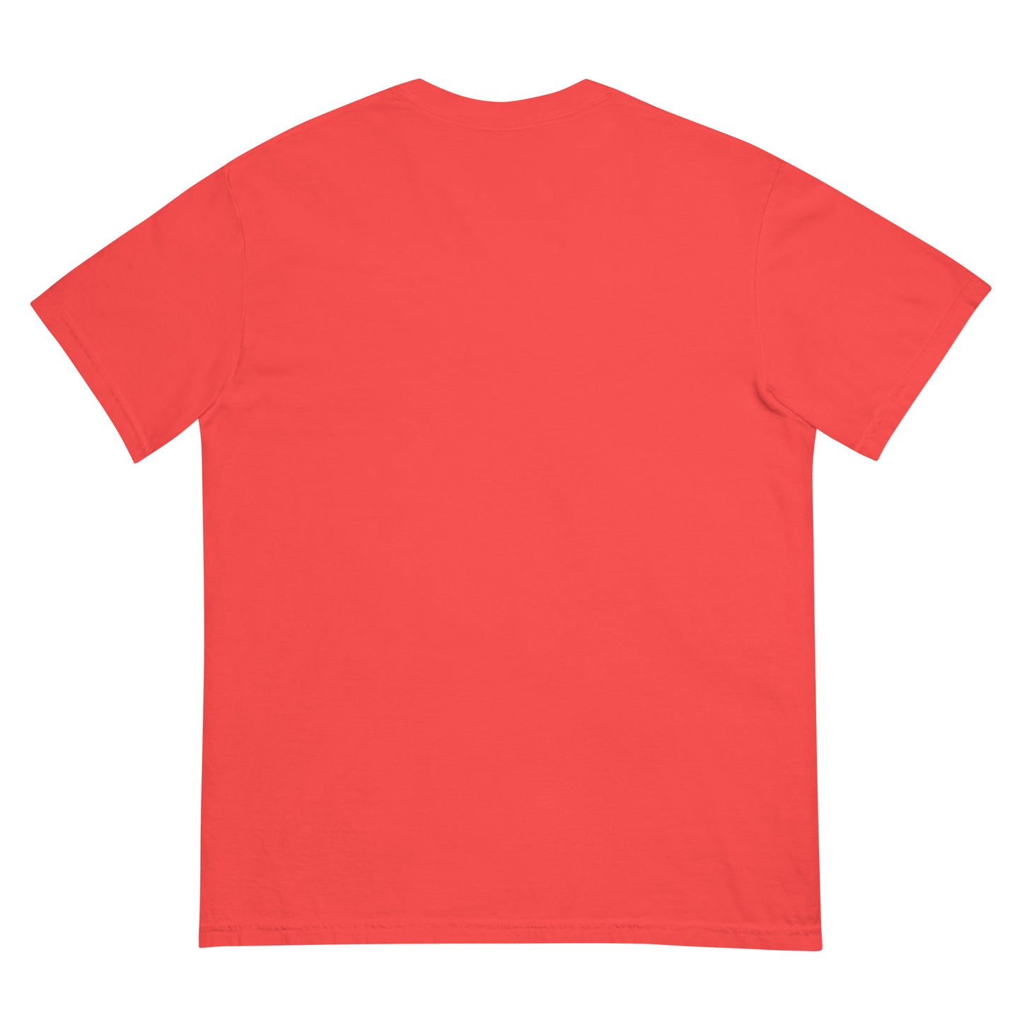 CDRIP unisex garment-dyed heavyweight t-shirt