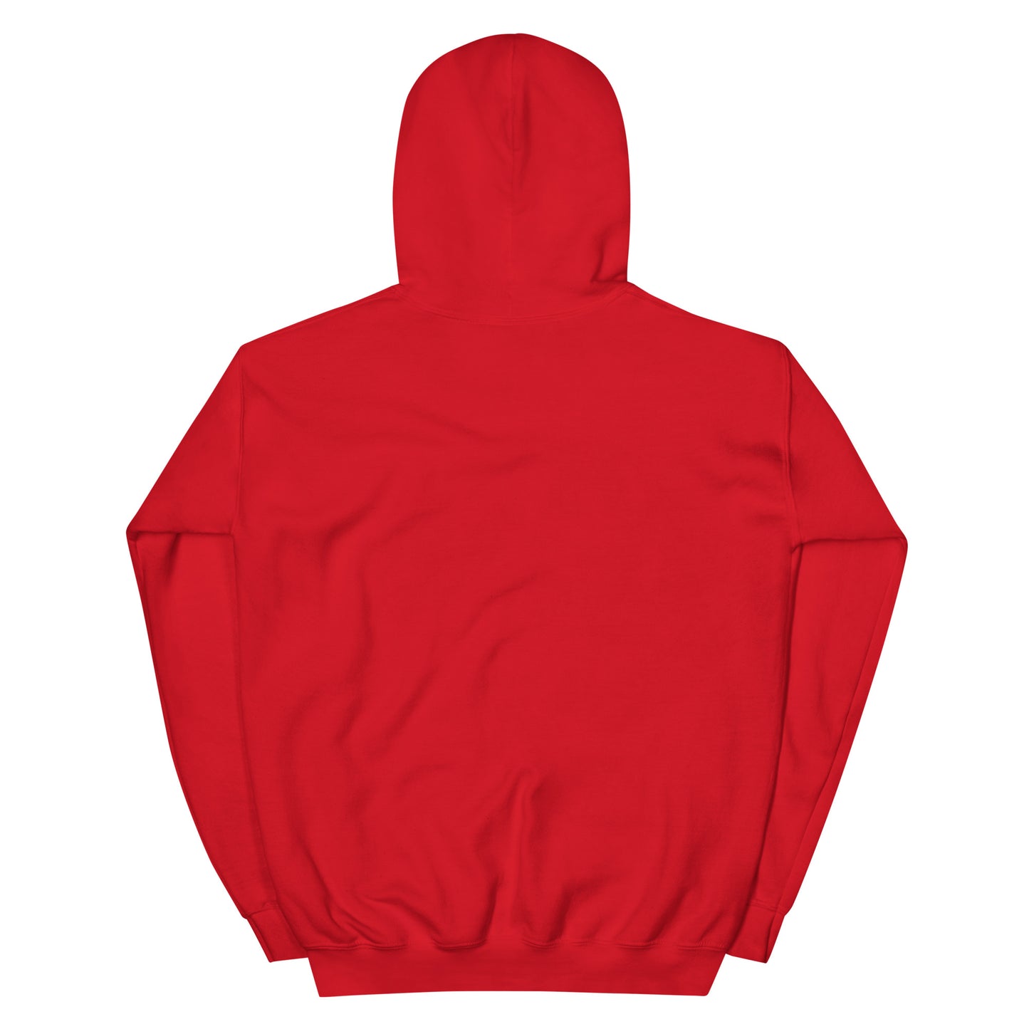 The Devil under my feet Unisex Hoodie